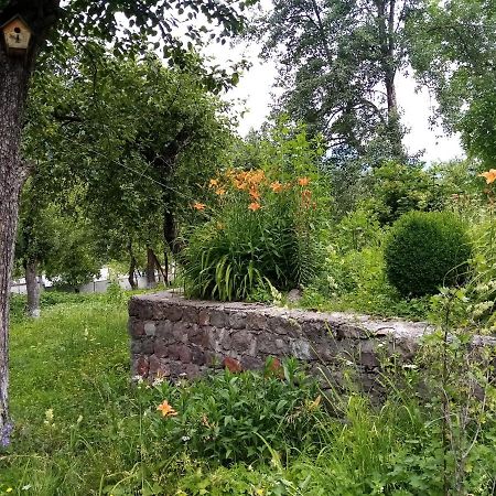 Mti House Ξενοδοχείο Kvesheti Εξωτερικό φωτογραφία