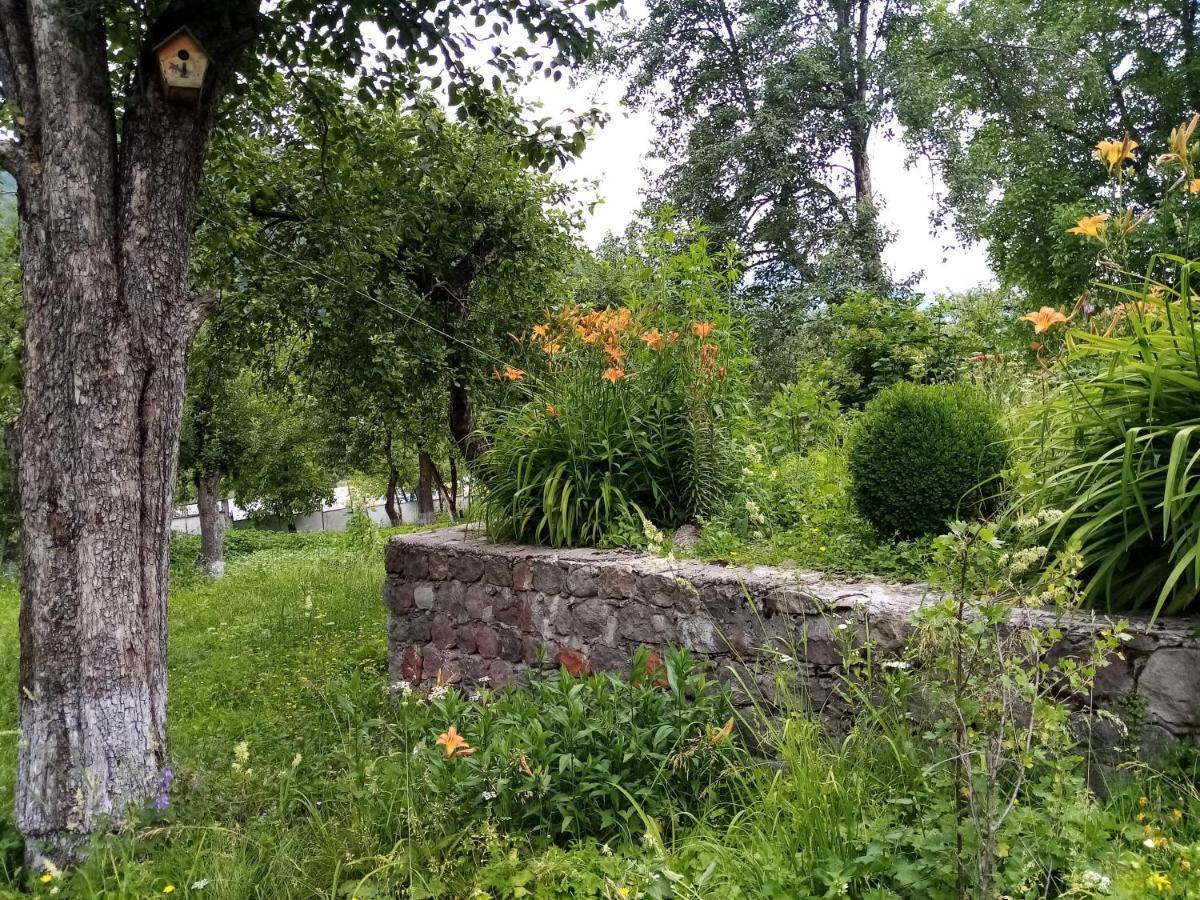 Mti House Ξενοδοχείο Kvesheti Εξωτερικό φωτογραφία