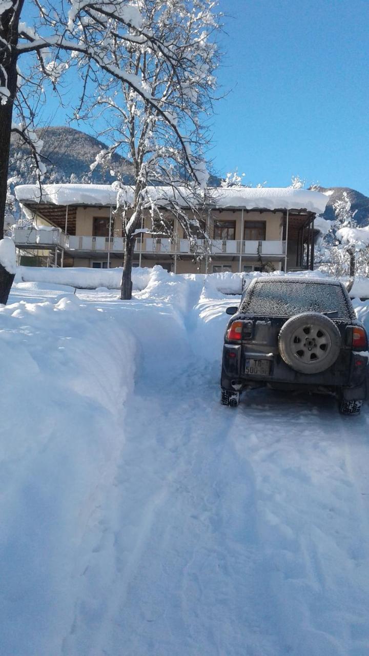 Mti House Ξενοδοχείο Kvesheti Εξωτερικό φωτογραφία